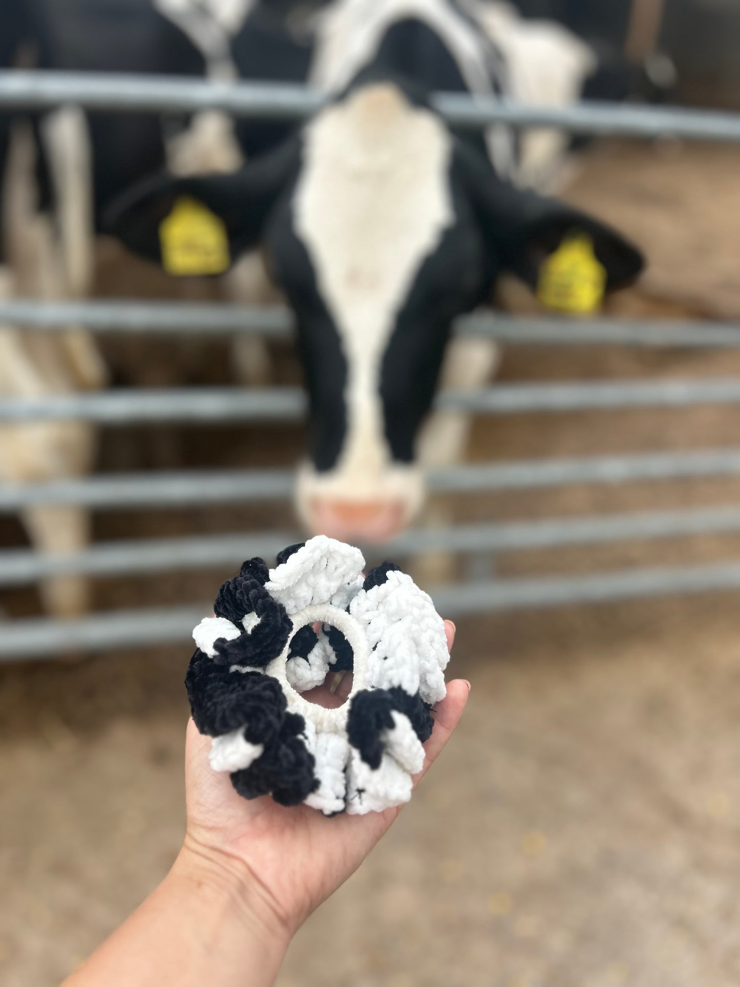 Cow scrunchie